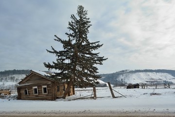 the ruins of a house in the winter forest