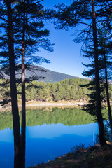 Obraz premium Natural landscape perfect for relaxation. Outside of the city.