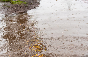 Illuminated pool of water and raindrops falling on it