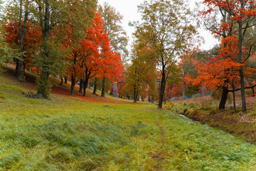 beautiful landscape view of autumn forest or Park with trees covered with colorful leaves