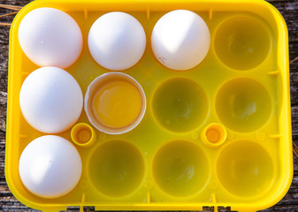 abstract background with eggs