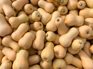 pile of butternut pumpkins for sale at farmers market