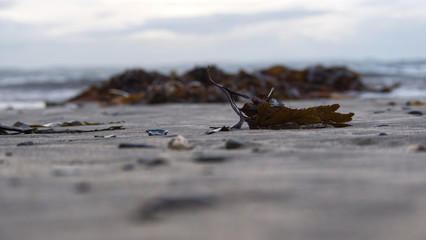 A sandy beach as the tide goes out on a cold evening 