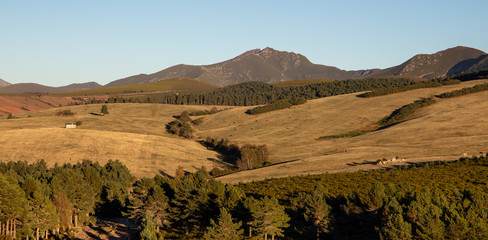 Pastizal de montaña en Ancares
