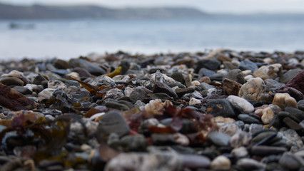 Wet pebbles and stones at the beach as the tide goes out