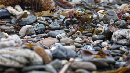 Wet pebbles and stones at the beach as the tide goes out