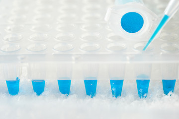 Plastic tube, pipette tip filled in with blue reaction mixture and disposable plastic wells....