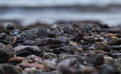 Wet pebbles and stones at the beach as the tide goes out