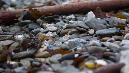 Wet pebbles and stones at the beach as the tide goes out