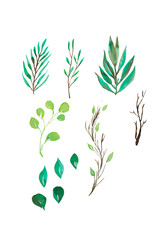 set of watercolor green branches and leaves, hand drawn design elements