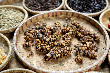 Luwak coffee. Vietnamese coffee that includes part-digested coffee cherries eaten and defecated by the coffee factory drying yard in Dalat, Vietnam.