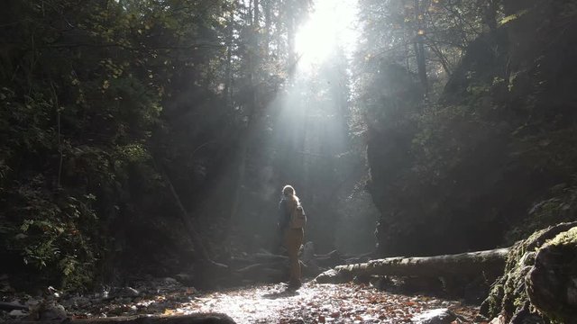 Girl traveler in a fairy forest in the fog and rays of sunlight. Girl in the forest enjoy  beautiful view of the landscape.