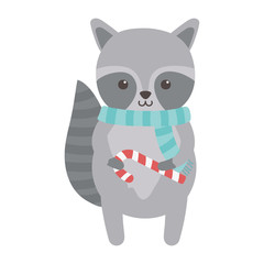 cute raccoon with scarf and candy cane merry christmas