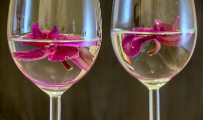 Magenta orchid flowers swimming in glasses 3