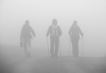 A group of tree people hiking in the misty forest