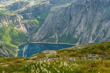 Fototapeta na wymiar Mountain Ringedalsvatnet lake landscape with meadow flowers, Norway. Way to Trolltunga rock.