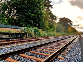 Obraz premium Endless Forest Railway in the Sunset