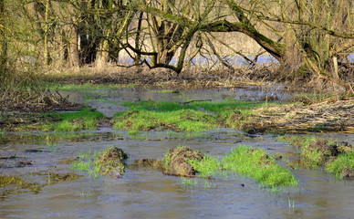 zugefrorene Flussaue, Ruhraue, Essen, NRW