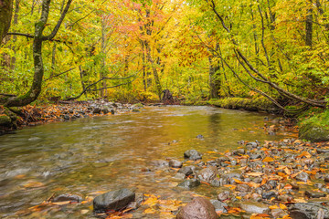 Moriyoshi Park in early autumn