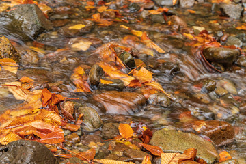 Moriyoshi Park in early autumn