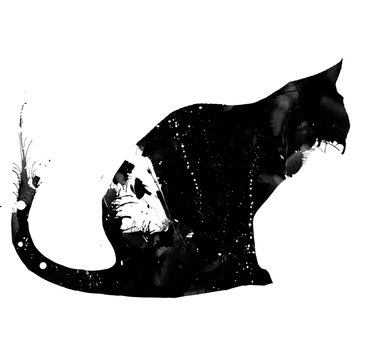 Abstract Cat design
