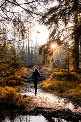A sporty healthy blonde travel girl in the wilderness forest in the autumn with moody colorful sunset light. Exploring nature. Oderteich, Harz National Park in the Mountains, Germany