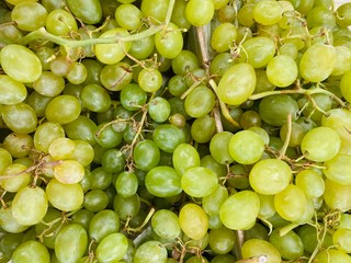 Lovely isolated healthy food for a good life