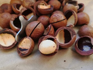 chocolate and nuts macadamia 