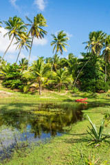 A view of the river Capivara Grande with coconut trees in the background at the Hippie Village in Arembepe - Bahia, Brazil
