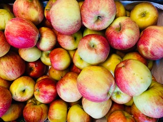 Lovely isolated healthy food for a good life