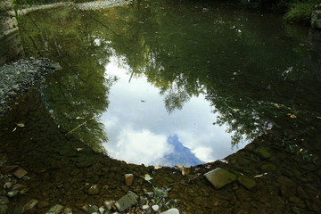 reflection of trees in water