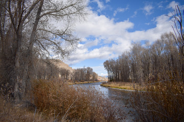 Colorado River Rural Park