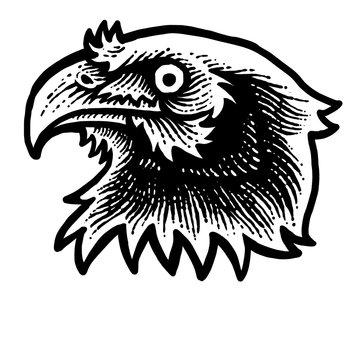 Eagle head engraving design