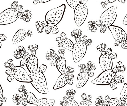 Cactus hand drawn vector seamless pattern. Creative texture Doodle style. Isolated vector object. Exotic Prickly Pear. For wrapping paper, textile, background, fabric.