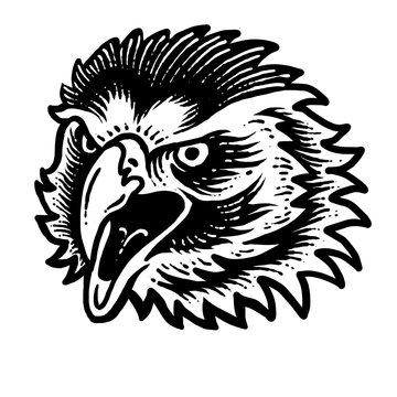 Eagle head engraving design
