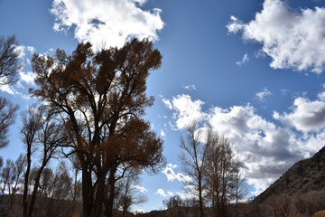 Colorado River Rural Park