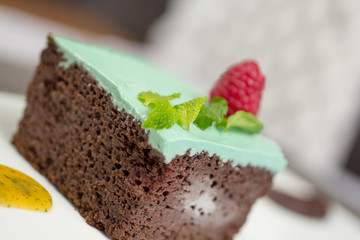 Vegan chocolate cake with green mint frosting