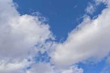 Fototapeta premium Colorado blue sky with small eagle