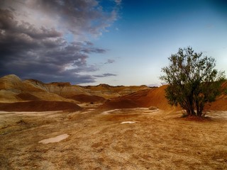 Desertic valley known as ‘Valle de la Luna Amarillo’, it’s formed by high elevations made of clay called ‘bardas’. There are some puddles, a big shrub and cloud on the left.