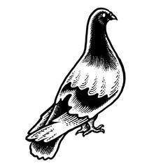 Pigeon and swallow carving design