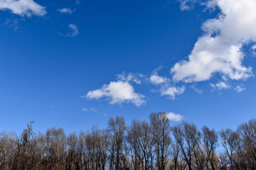 Colorado River Rural Park