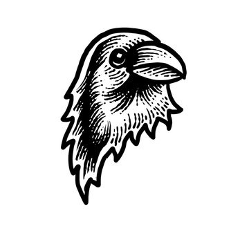 Raven engraving design