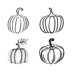 Collection of various hand-drawn pumpkins with black pen. Vector illustration for your design. Can be used for Halloween, harvest festival or as an icon.