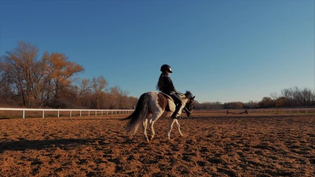 Girl rider rides a horse. The little horse rider on Poni jumps along the epadrome. He practices horseback riding.