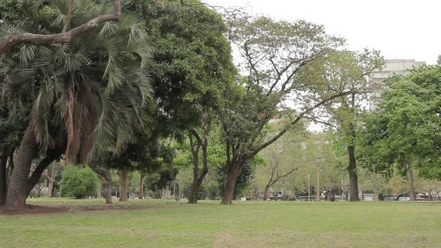 Parque Tres de Febrero, popularly known as Bosques de Palermo (Palermo Woods), an urban park in Buenos Aires, Argentina. 