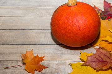 Ripe orange pumpkin for Halloween. Autumn frame of fallen leaves and berries on a light wooden background