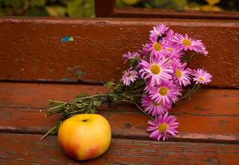 Autumn harvest: apples, grapes, against the background of autumn yellow leaves