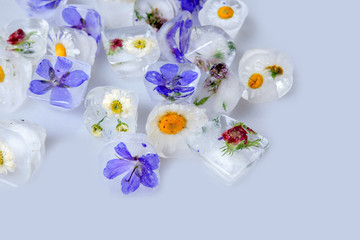 Fototapeta na wymiar Ice cubes with flowers on white background, closeup