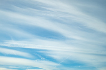 Fototapeta premium Blue sky background with tiny stratus cirrus striped clouds. Clearing day and Good windy weather