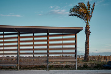 Bus stop close to the beach at the afternoon with a palm close to the right